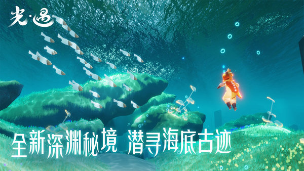 光遇自动弹琴辅助器(免费)