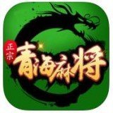 正宗青海麻将二五八