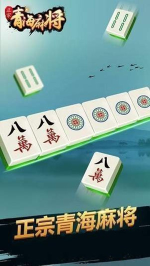 正宗青海麻将二五八