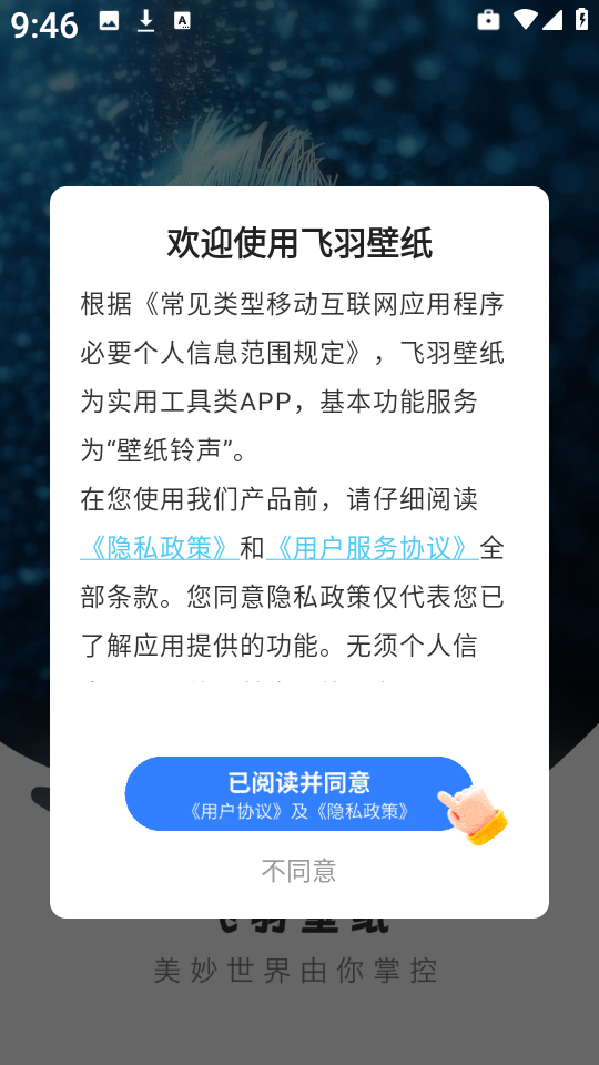 飞羽壁纸