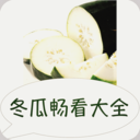 冬瓜畅看大全小说