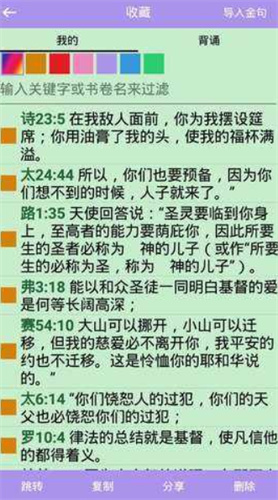 精读圣经