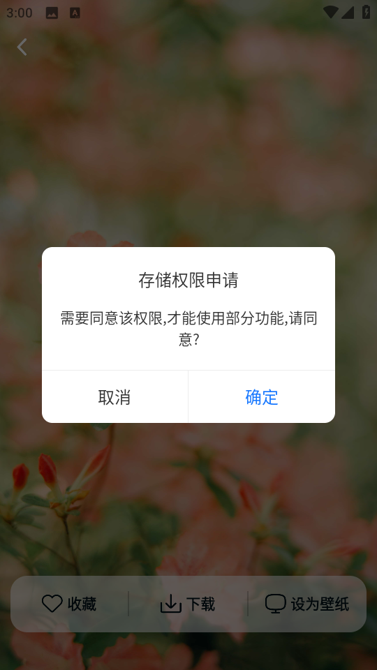 跃动壁纸