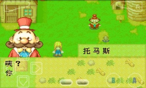 牧场物语女该版