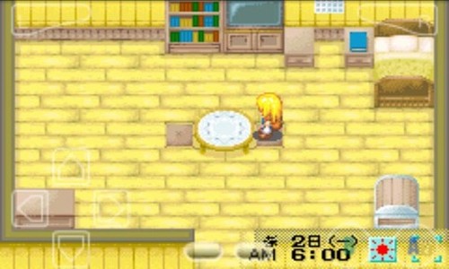 牧场物语女该版