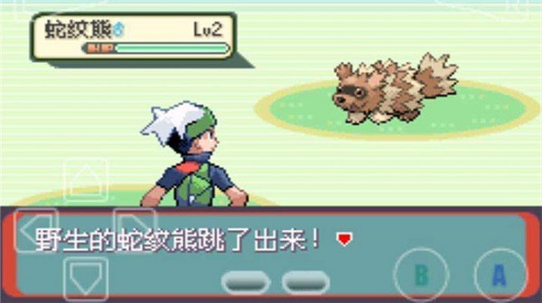 口袋妖怪绿宝石493版