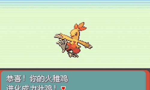 口袋妖怪究极绿宝石5.5内置修改器