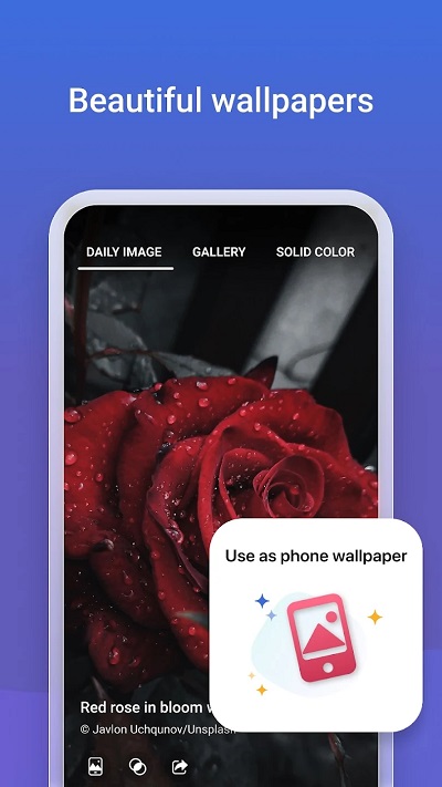 微软必应app最新版