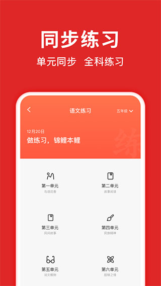 题拍拍app