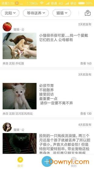 宠物领养最新版