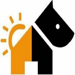 宠物领养最新版