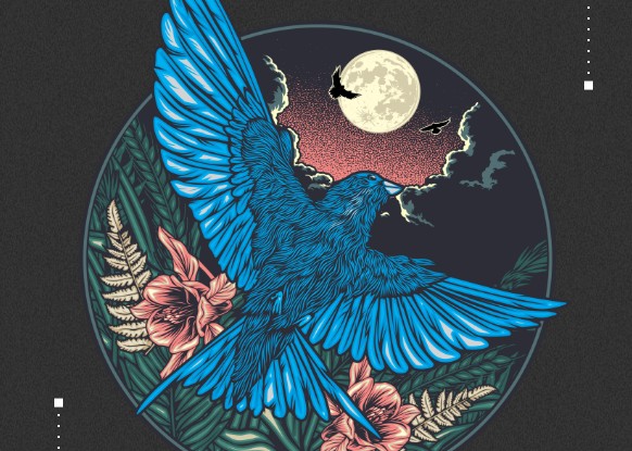 coreldraw免费中文版