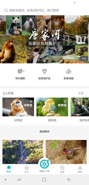 云上中国手机版