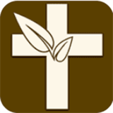 伴读圣经安卓版