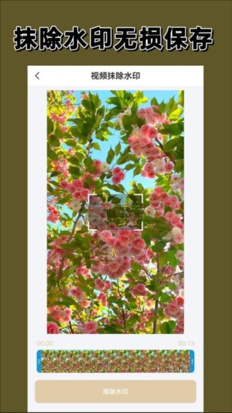 免费去水印大师软件官方版
