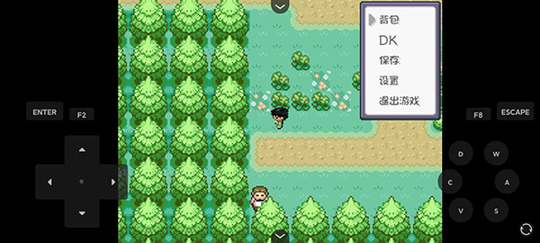 口袋妖怪燃之智3.4