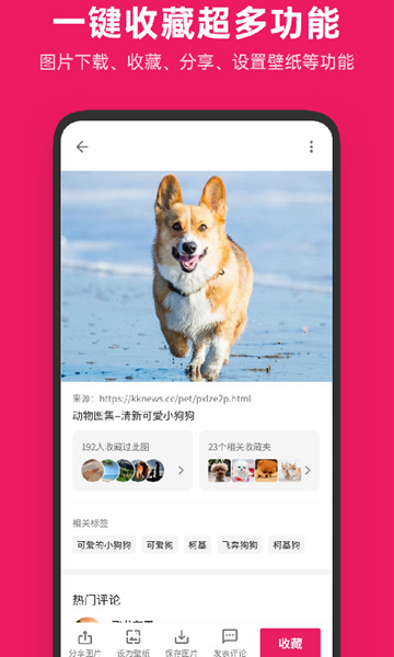 图片搜搜app 最新版v5.3.3