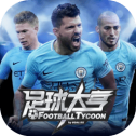足球大亨单机安卓版
