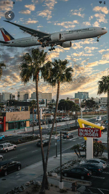 鲸鱼壁纸官方版