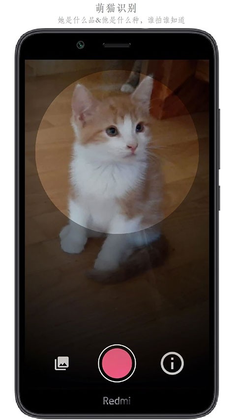 万物识别app 安卓版v2.1.72