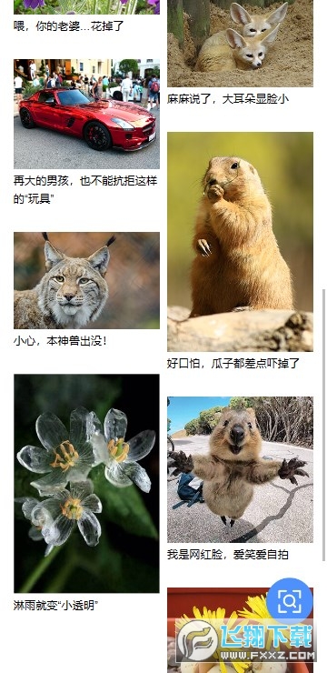 百度识图官方正版