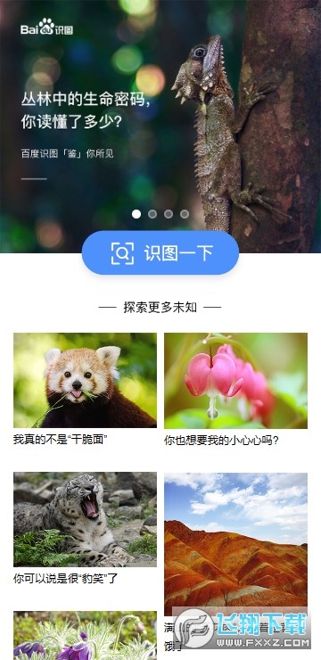 百度识图官方正版