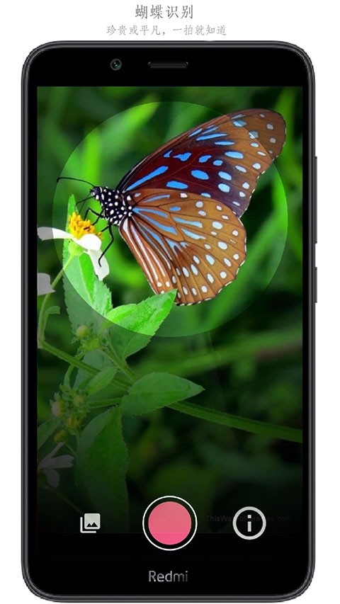 万物识别app 安卓版v2.1.72