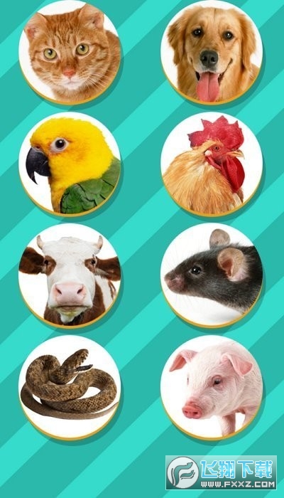 Pet Translator动物语言翻译器