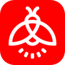 火萤视频壁纸安卓版app