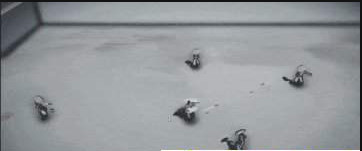 无极道人安卓版