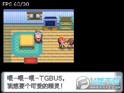 口袋妖怪钻石复刻附金手指版