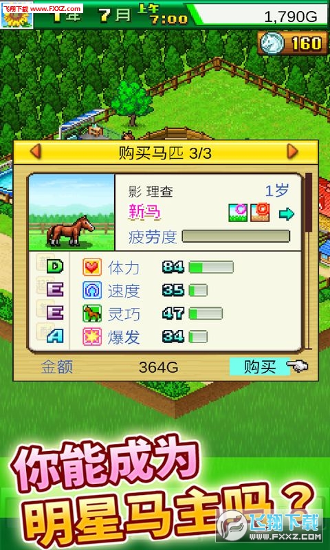 赛马牧场物语内购破解版