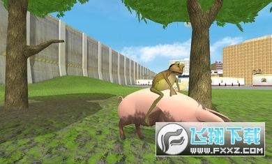 神奇青蛙v2(带数据包)