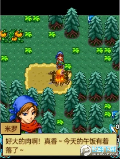 宠物王国4白金正版安装