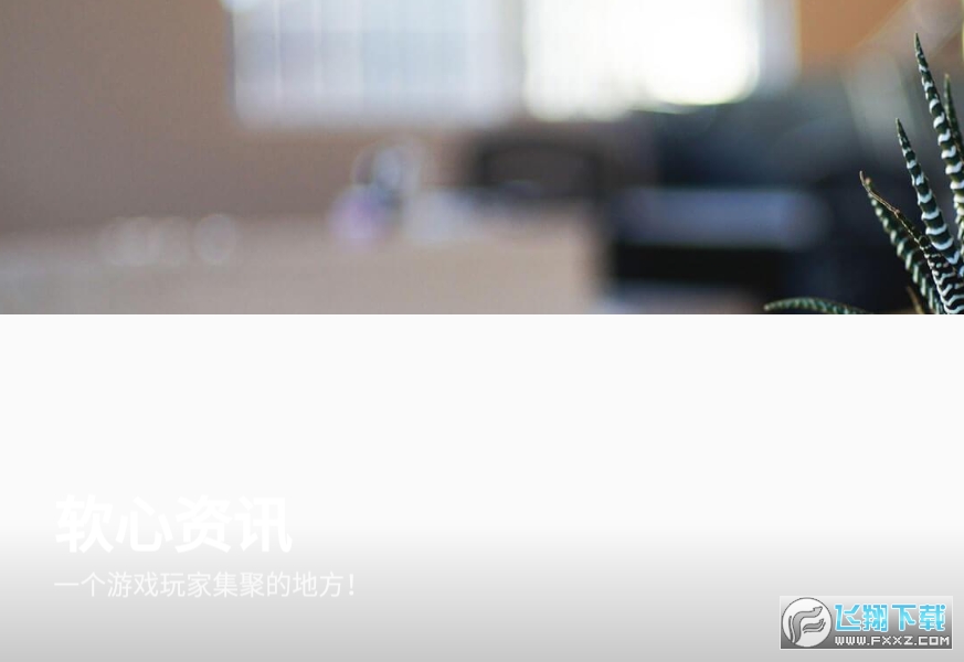 软心安装器免邀请版