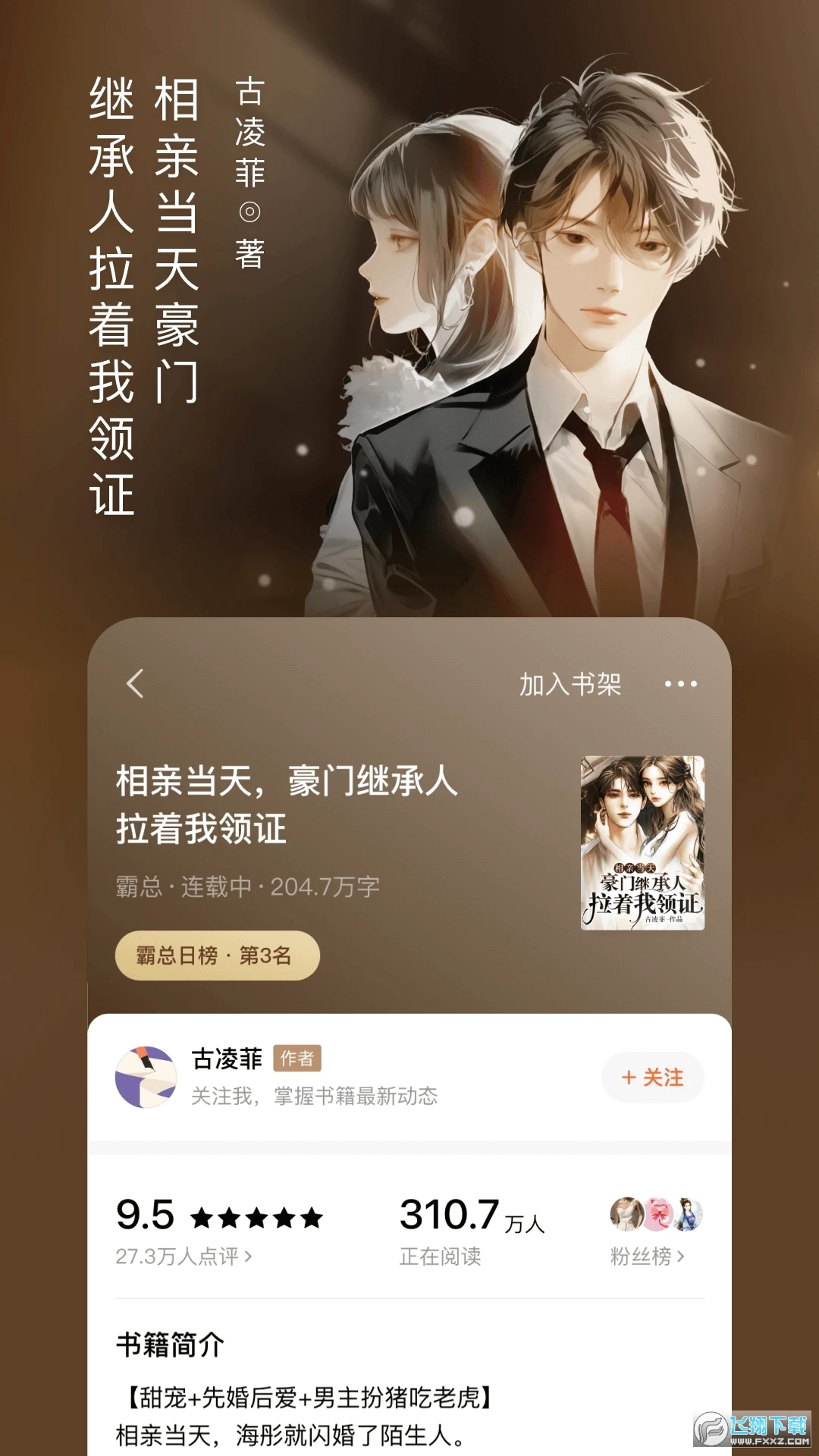 番茄小说阅读平台