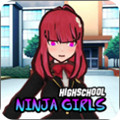 HighSchool Ninja Girls(女子高中格斗游戏中文版)