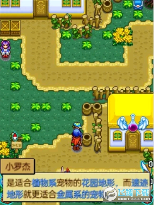 宠物王国4白金正版安装