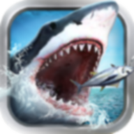 享越疯狂钓鱼破解版最新版