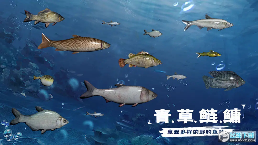 天天钓鱼免广告无限金币版