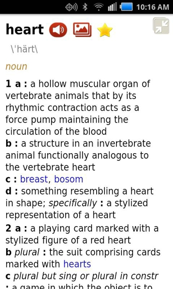 韦氏词典(Merriam-Webster Dictionary)