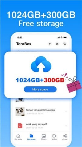 百度网盘国际版(TeraBox)