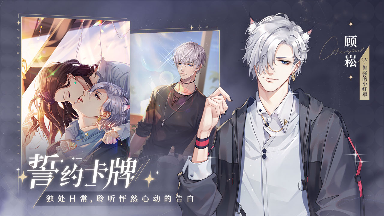 猫之宿约者官方版