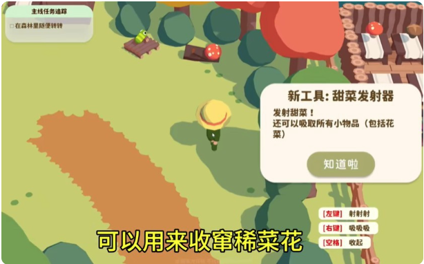 舒舒服服小岛时光