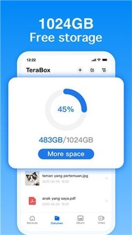 百度网盘国际版(TeraBox)