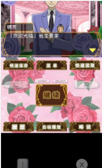 樱兰高校男公关部游戏中文版