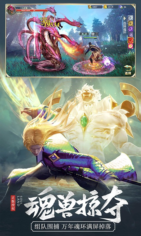 斗罗大陆OL手游