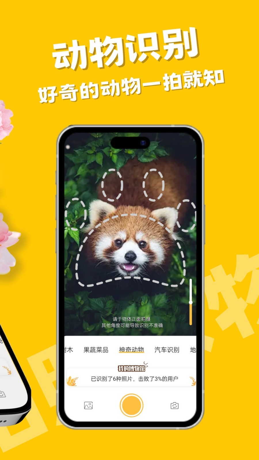 拍照识物app