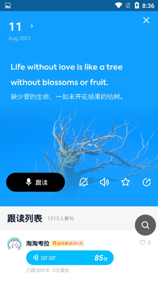 金山词霸手机版下载