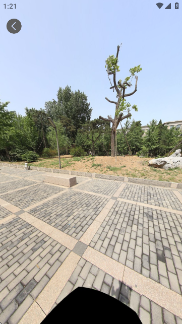 街景地图实时全景APP